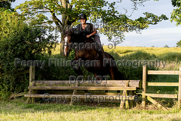 Grove_and_Rufford_Leyfields_2nd_July_2019_259