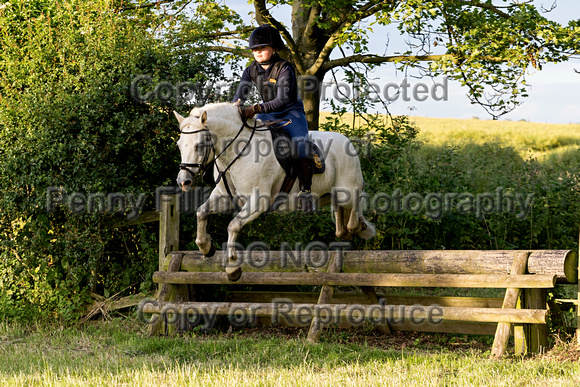 Grove_and_Rufford_Leyfields_2nd_July_2019_265