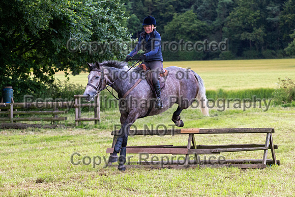 Grove_and_Rufford_Leyfields_2nd_July_2019_230