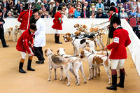 Festival of Hunting, Hounds (18th July 2018)