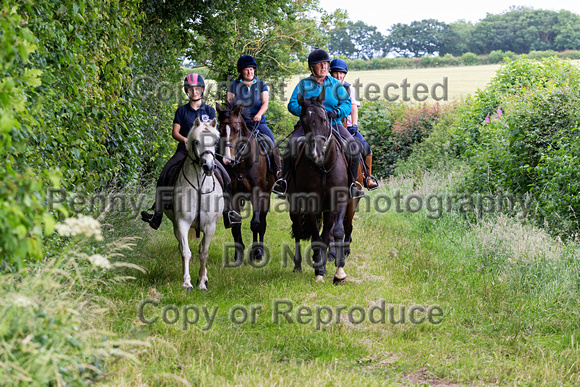 Grove_and_Rufford_Leyfields_2nd_July_2019_154