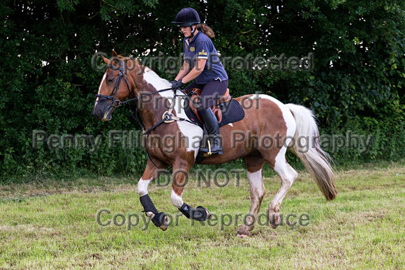 Grove_and_Rufford_Leyfields_2nd_July_2019_186