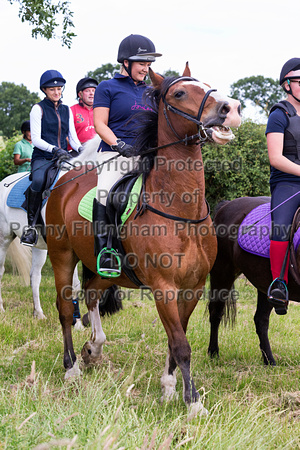 Grove_and_Rufford_Leyfields_2nd_July_2019_136