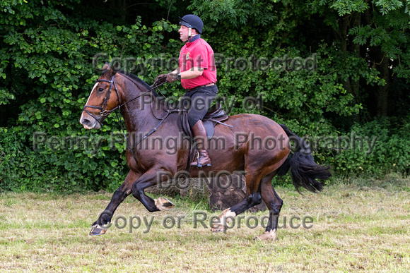 Grove_and_Rufford_Leyfields_2nd_July_2019_215