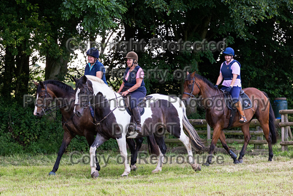 Grove_and_Rufford_Leyfields_2nd_July_2019_251