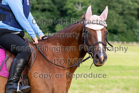 Grove_and_Rufford_Ride_Hodstock_4th_Aug_2020_252