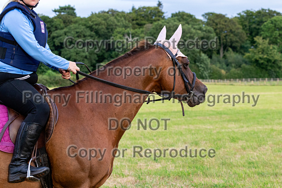 Grove_and_Rufford_Ride_Hodstock_4th_Aug_2020_250