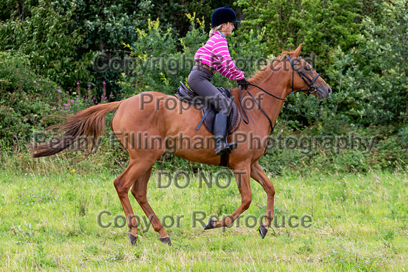 Grove_and_Rufford_Ride_Hodstock_4th_Aug_2020_174