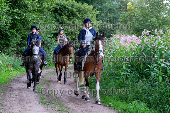 Grove_and_Rufford_Ride_Hodstock_4th_Aug_2020_205