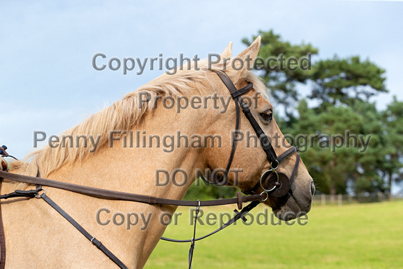 Grove_and_Rufford_Ride_Hodstock_4th_Aug_2020_042