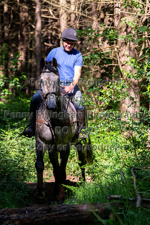 Grove_and_Rufford_Ride_Bothamsall_22nd_June_2021_008