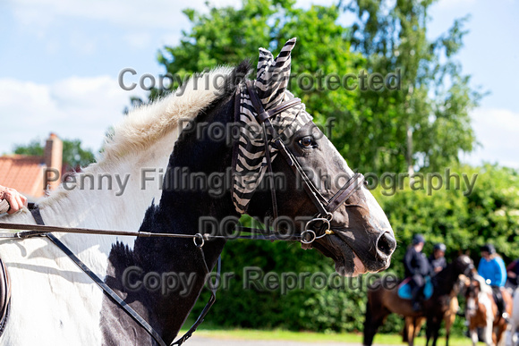 Grove_and_Rufford_Ride_Bothamsall_22nd_June_2021_006