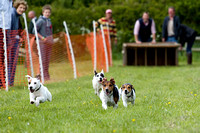 Cottesmore_Open_Day_Terrier_Racing_8th_June_2013_.019