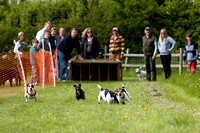 Cottesmore_Open_Day_Terrier_Racing_8th_June_2013_.010