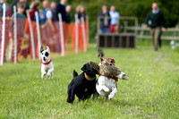 Cottesmore_Open_Day_Terrier_Racing_8th_June_2013_.007