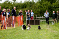 Cottesmore_Open_Day_Terrier_Racing_8th_June_2013_.004