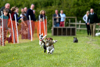 Cottesmore_Open_Day_Terrier_Racing_8th_June_2013_.005