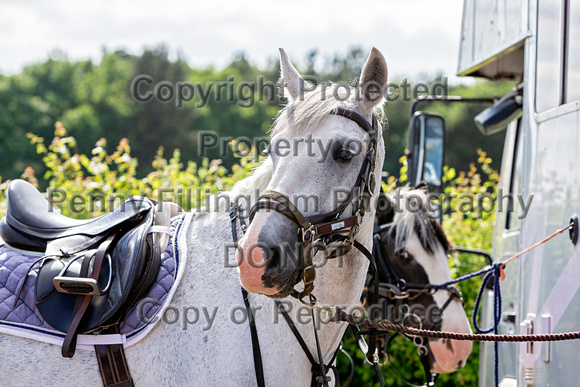 Grove_and_Rufford_Ride_Bothamsall_22nd_June_2021_002