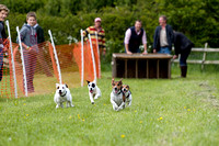 Cottesmore_Open_Day_Terrier_Racing_8th_June_2013_.017