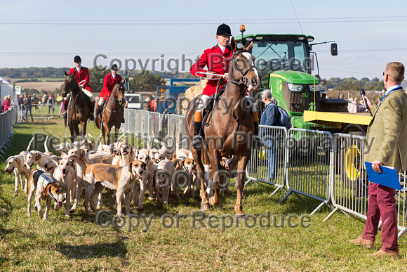 Southwell_Ploughing_Match_Hound_Parade_29th_Sept_2018_002