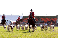 Southwell_Ploughing_Match_Hound_Parade_29th_Sept_2018_015
