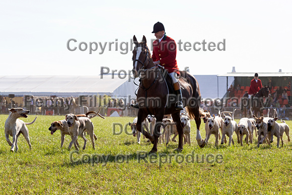 Southwell_Ploughing_Match_Hound_Parade_29th_Sept_2018_016
