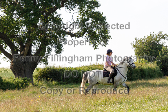 Grove_and_Rufford_Ride_Caunton_23rd_June_2015_004