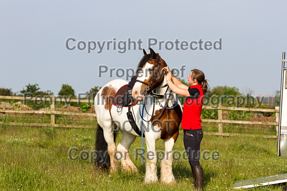 Grove_and_Rufford_Ride_Caunton_23rd_June_2015_010