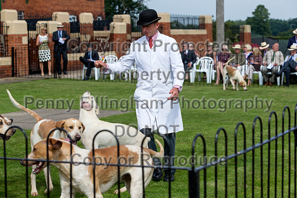 Grove_and_Rufford_Puppy_Show_9th_June_2018_040
