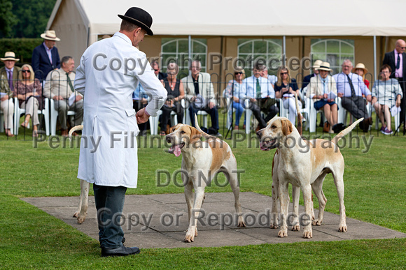 Grove_and_Rufford_Puppy_Show_9th_June_2018_047