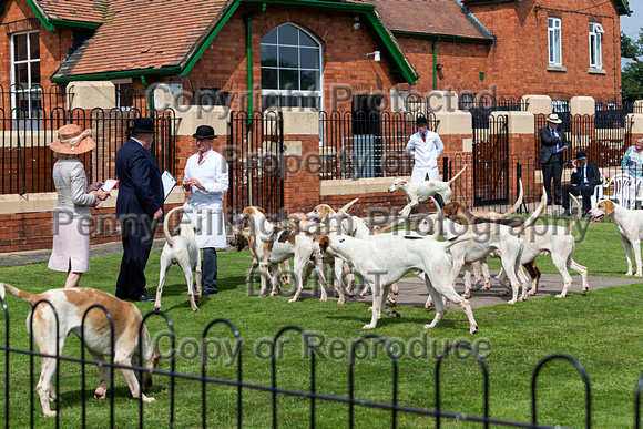 Grove_and_Rufford_Puppy_Show_9th_June_2018_027