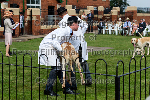 Grove_and_Rufford_Puppy_Show_9th_June_2018_041