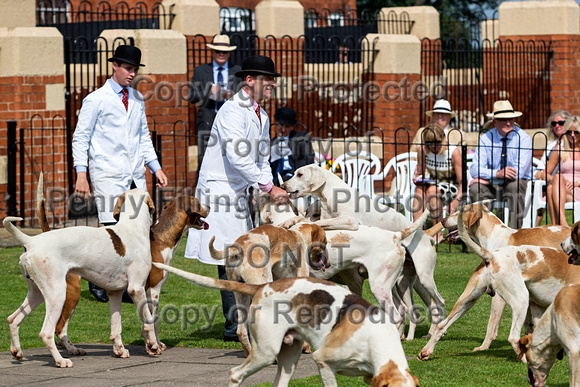 Grove_and_Rufford_Puppy_Show_9th_June_2018_031