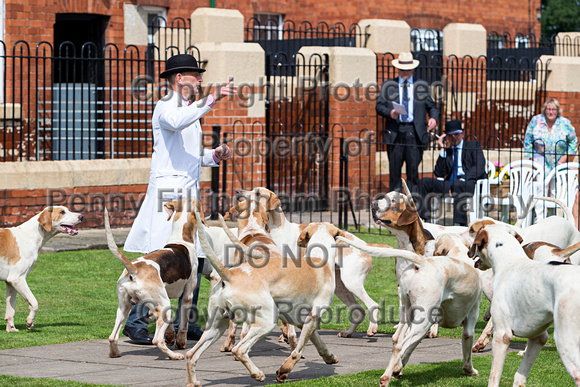 Grove_and_Rufford_Puppy_Show_9th_June_2018_026