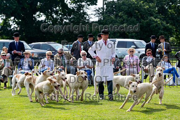 Grove_and_Rufford_Puppy_Show_9th_June_2018_094