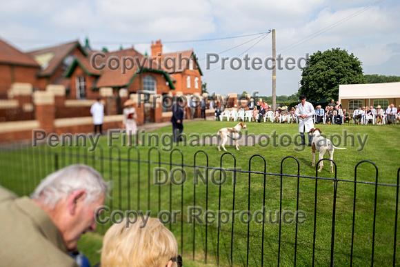 Grove_and_Rufford_Puppy_Show_9th_June_2018_052