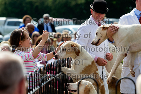 Grove_and_Rufford_Puppy_Show_9th_June_2018_091