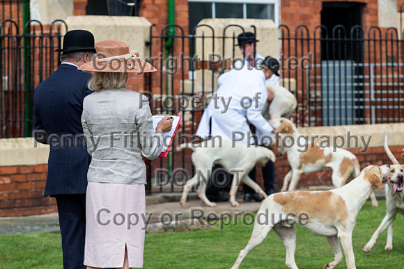 Grove_and_Rufford_Puppy_Show_9th_June_2018_038