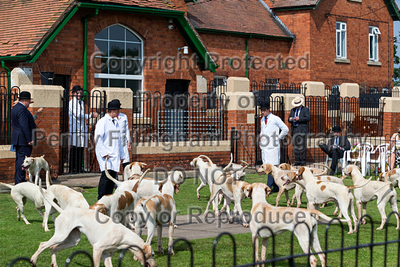 Grove_and_Rufford_Puppy_Show_9th_June_2018_076