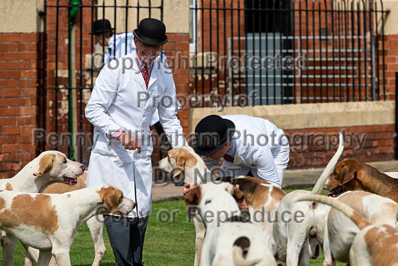 Grove_and_Rufford_Puppy_Show_9th_June_2018_030