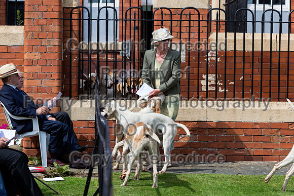 Grove_and_Rufford_Puppy_Show_9th_June_2018_034