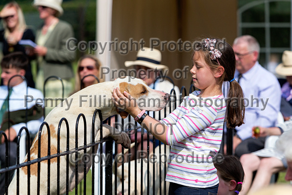 Grove_and_Rufford_Puppy_Show_9th_June_2018_082