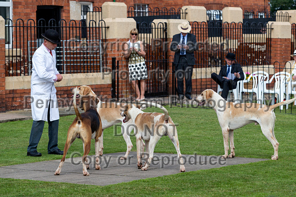 Grove_and_Rufford_Puppy_Show_9th_June_2018_043
