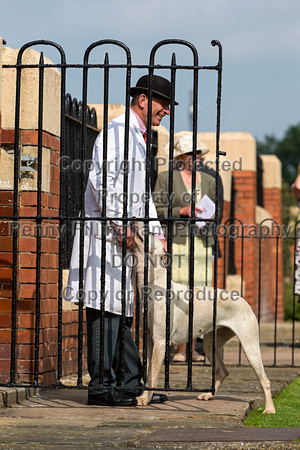 Grove_and_Rufford_Puppy_Show_9th_June_2018_107
