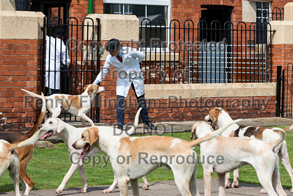 Grove_and_Rufford_Puppy_Show_9th_June_2018_037