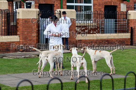 Grove_and_Rufford_Puppy_Show_9th_June_2018_103