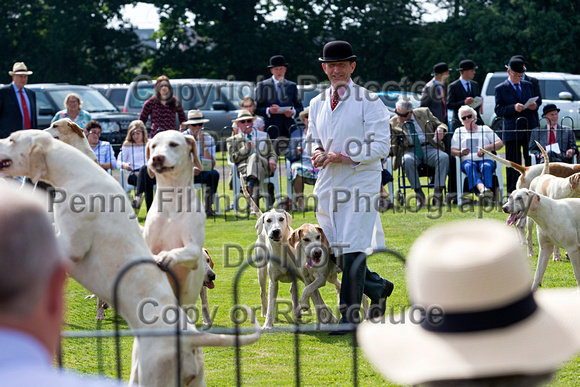 Grove_and_Rufford_Puppy_Show_9th_June_2018_087