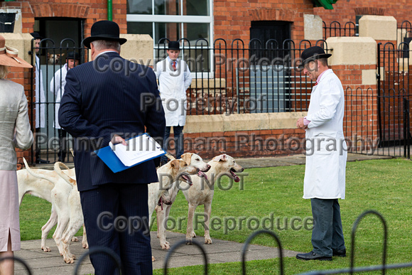 Grove_and_Rufford_Puppy_Show_9th_June_2018_100