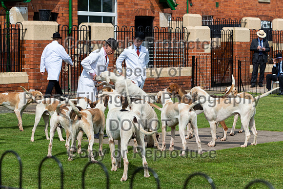 Grove_and_Rufford_Puppy_Show_9th_June_2018_028