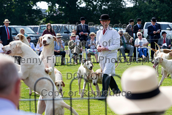 Grove_and_Rufford_Puppy_Show_9th_June_2018_086